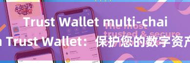 Trust Wallet multi-chain Trust Wallet：保护您的数字资产